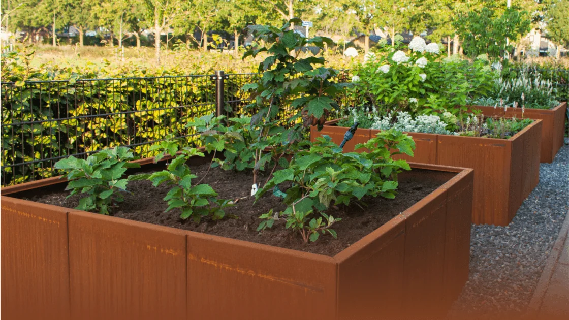 Cortenteräs Opas: kaikki mitä haluat tietää tästä materiaalista