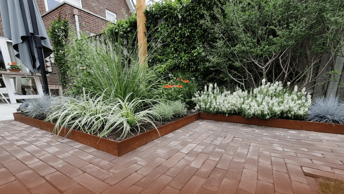 Mitä erilaisia ​​reunaviivoja on olemassa?